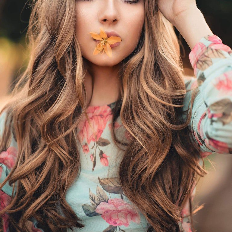 The Fashion Collection